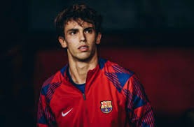 数字文创“镇园之宝”奖励600万元，成都高新区公开征求新政意见